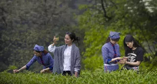 峨眉山不只有金顶，徒步这2条路线人少、景美，体验感超爽！