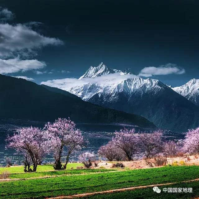 旅行清单｜全年观景指南，在对的时间看对的风景