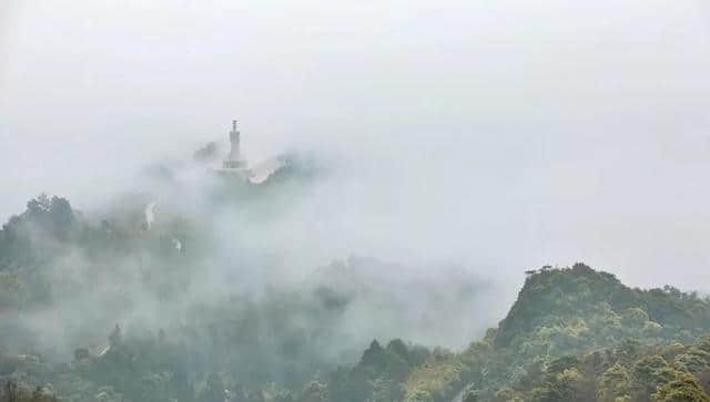 【无门票攻略】5月1日/3日穿越5A景区福建—太姥山难忘之旅