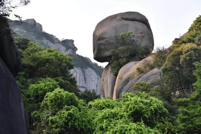 【无门票攻略】5月1日/3日穿越5A景区福建—太姥山难忘之旅