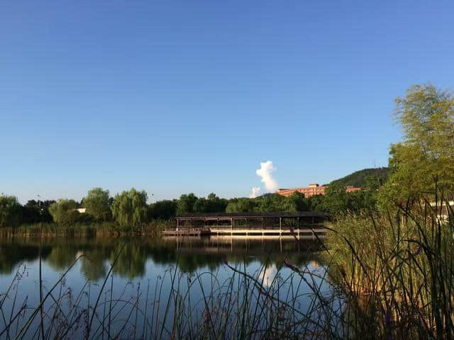 端午节旅游好去处，宜兴竹海大觉寺