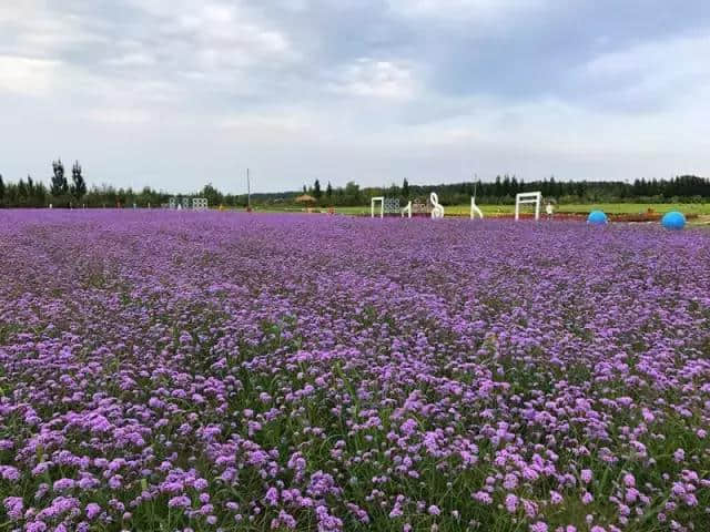 周末｜内蒙古香草园，与你一起美（附路线指南）