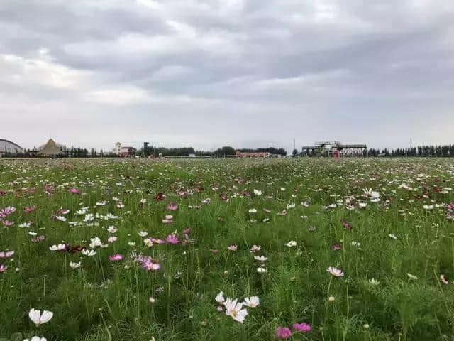 周末｜内蒙古香草园，与你一起美（附路线指南）