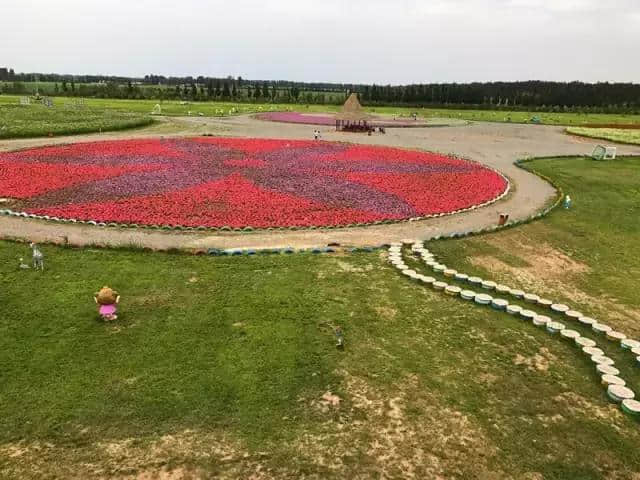 周末｜内蒙古香草园，与你一起美（附路线指南）