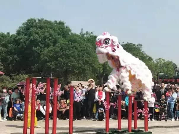 好消息！正定所有景点免费对外开放，仅限今天！错过等一年！