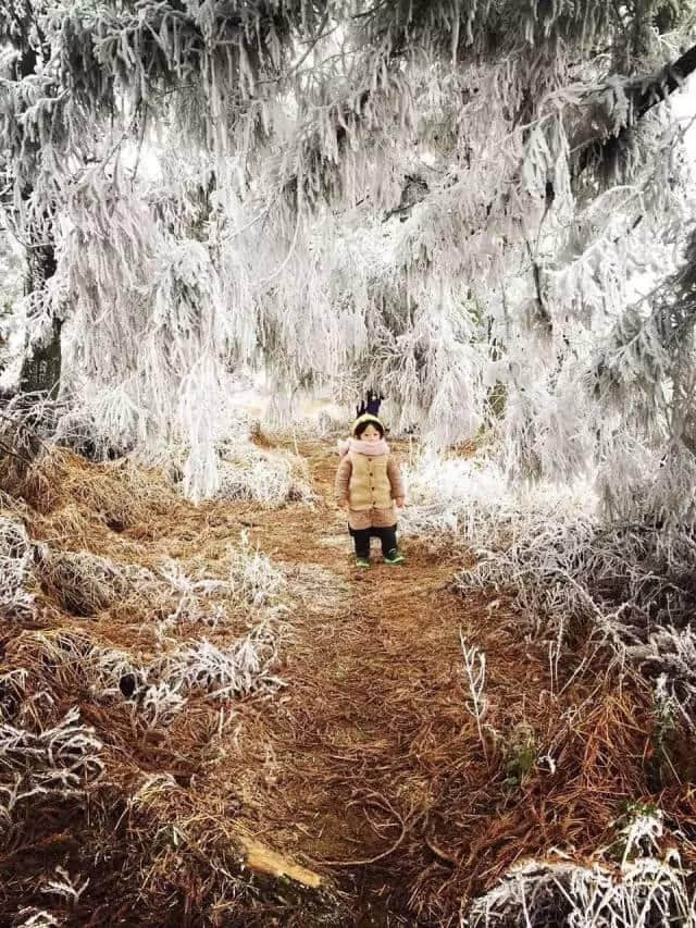 惊艳！藏在浙江的最美雾凇地图，分分钟秒杀北方雪国！