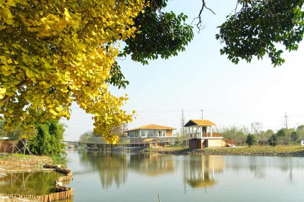 乡村旅游新体验 太仓白玉兰房车露营地盛大揭牌