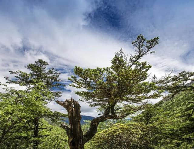 唱响情歌天籁，来木格措赴一场21℃的夏日狂欢