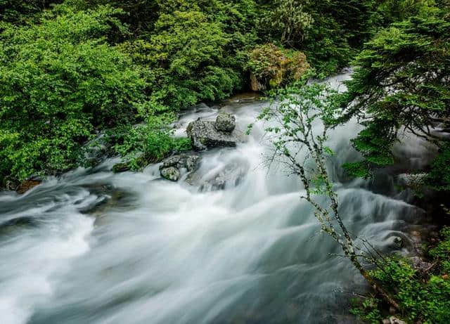 唱响情歌天籁，来木格措赴一场21℃的夏日狂欢