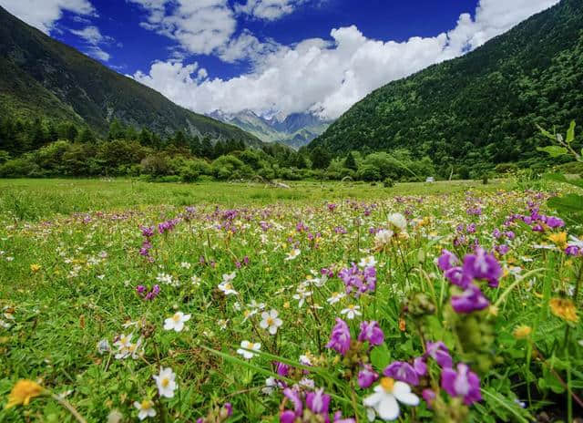 唱响情歌天籁，来木格措赴一场21℃的夏日狂欢