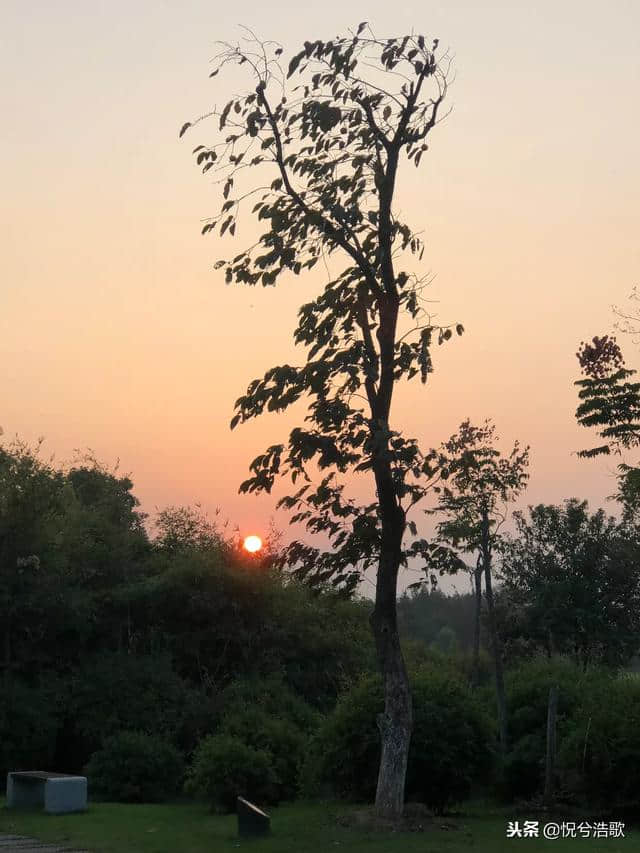 南昌必游景点（2）