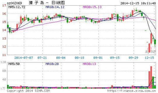 獐子岛扇贝又跑了，扇贝上演青蛙的旅行？