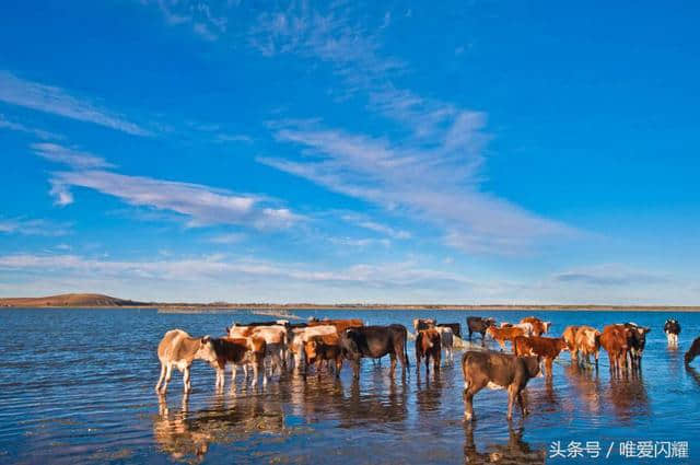 张家口五大旅游景区，你去过几处