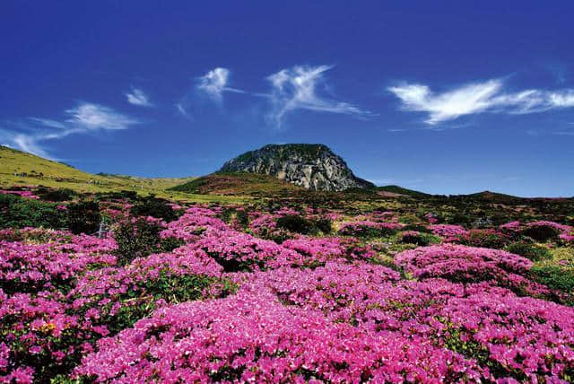 济州岛10大必玩景点