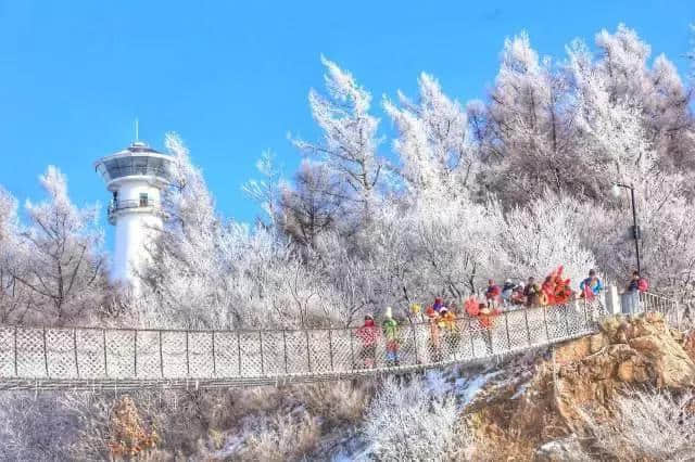 聚焦龙江冰雪季｜传承北大荒精神，佳木斯冬季旅游展新颜