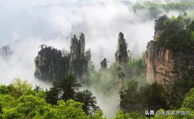 张家界旅游最佳时间是每年的4月-10月