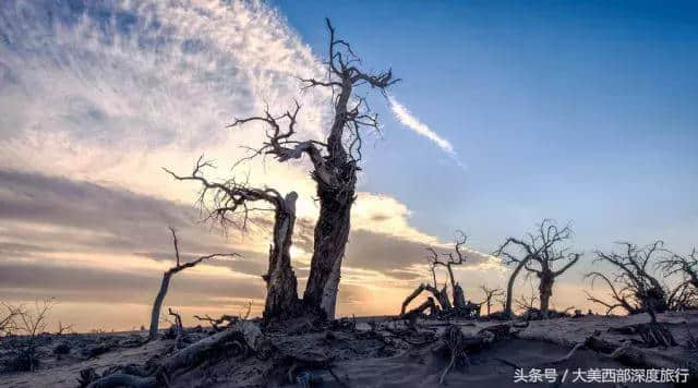 额济纳旗旅行全攻略，最美的季节就快到了，提前收藏！