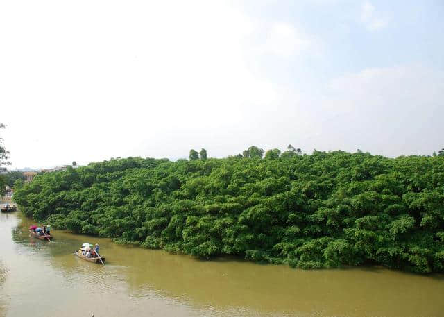 没来过江门？这里有你需要的旅游景点攻略