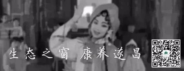 如何获得汤公音乐节门票？这一篇「获票指南」就够了！