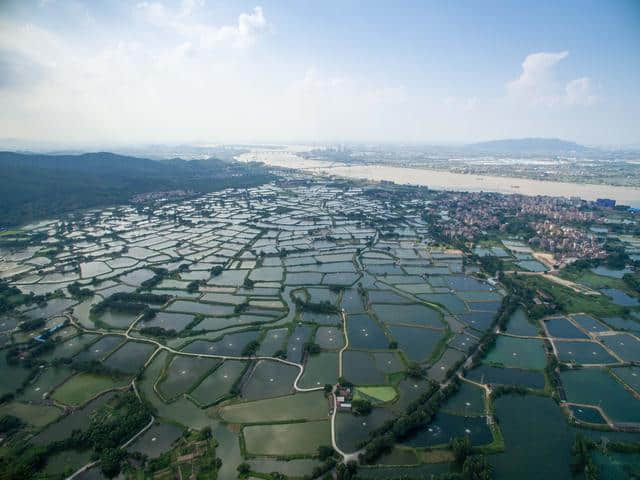 古劳水乡的流连，江门市旅游景点，广东行33