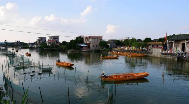 古劳水乡的流连，江门市旅游景点，广东行33