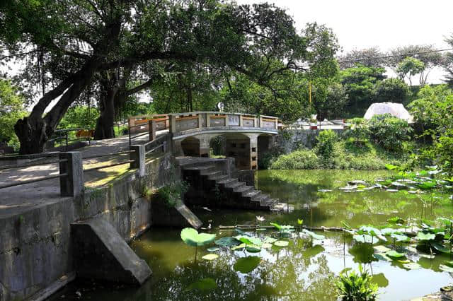 古劳水乡的流连，江门市旅游景点，广东行33