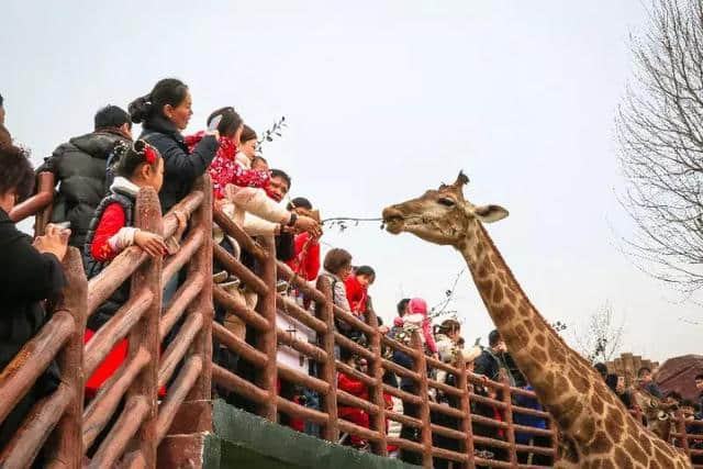 【济南假日旅游简报】济南假日旅游简报 2019年春节（第四期）