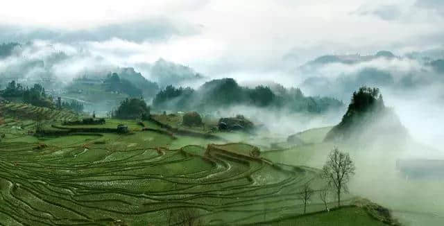 美丽乡村，我们来啦~