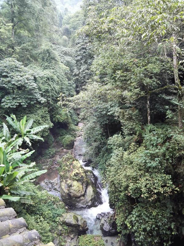 8月四川游——峨眉山轻松游