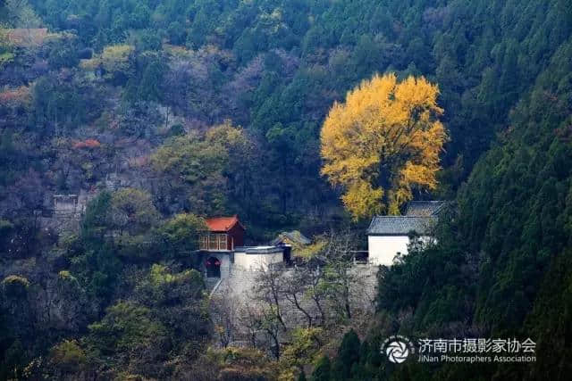 章丘文化旅游大餐“菜单”出炉 全家出游嗨翻天