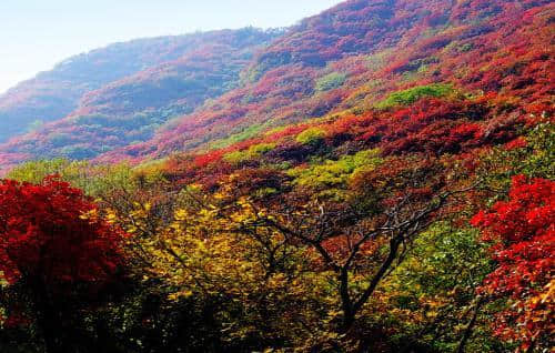 中秋国庆双节济南旅游必去的四大景点