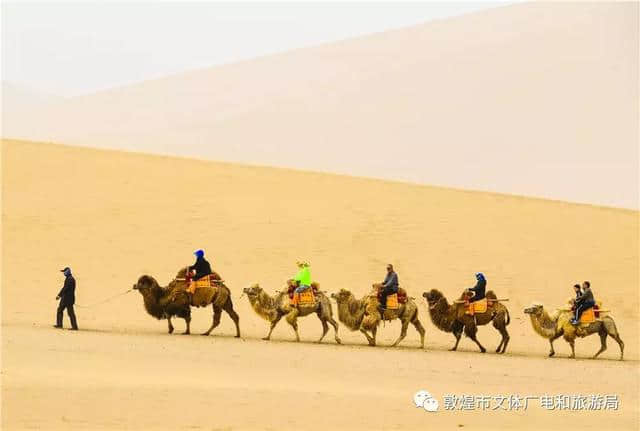 【万人游大漠】敦煌五一小长假迎旅游热潮