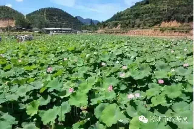 「国庆走起」再有人问你平和哪里好玩，你就把这份平和旅游景点大全发给ta