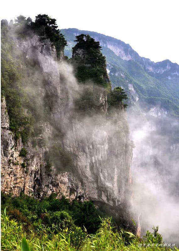 中国凉养之山，夏季避暑狂欢，就在达州八台山！