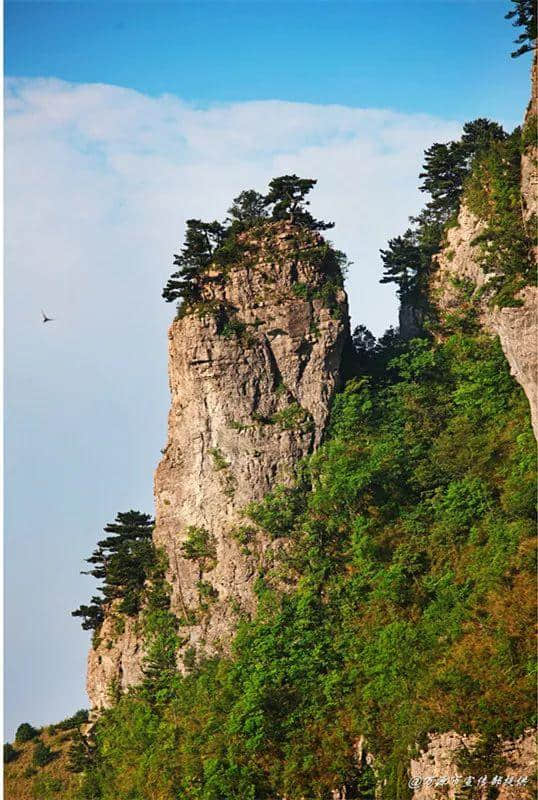 中国凉养之山，夏季避暑狂欢，就在达州八台山！