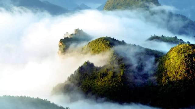 中国凉养之山，夏季避暑狂欢，就在达州八台山！