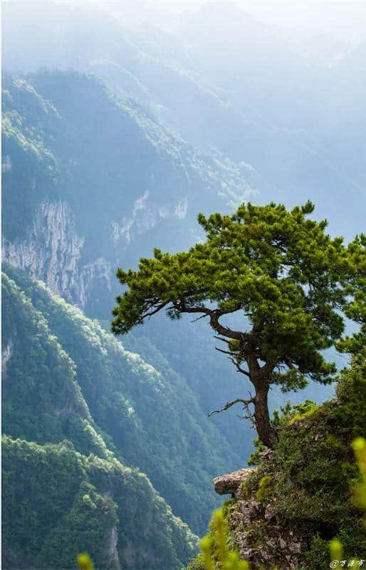 中国凉养之山，夏季避暑狂欢，就在达州八台山！