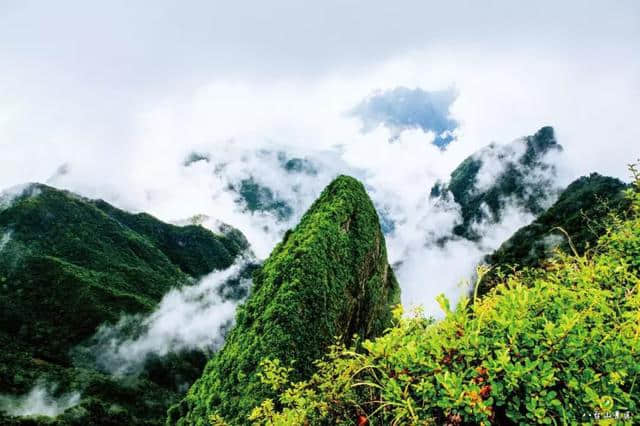 中国凉养之山，夏季避暑狂欢，就在达州八台山！