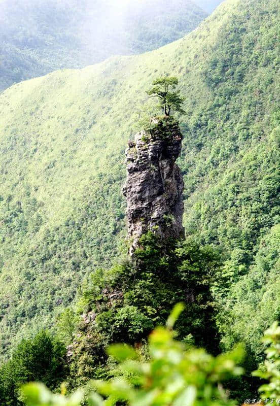 中国凉养之山，夏季避暑狂欢，就在达州八台山！