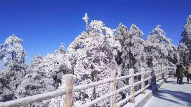 下月起峨眉山执行淡季票价！看雪、玩雪、正当时，错过又要等一年