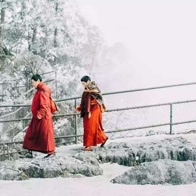 下月起峨眉山执行淡季票价！看雪、玩雪、正当时，错过又要等一年