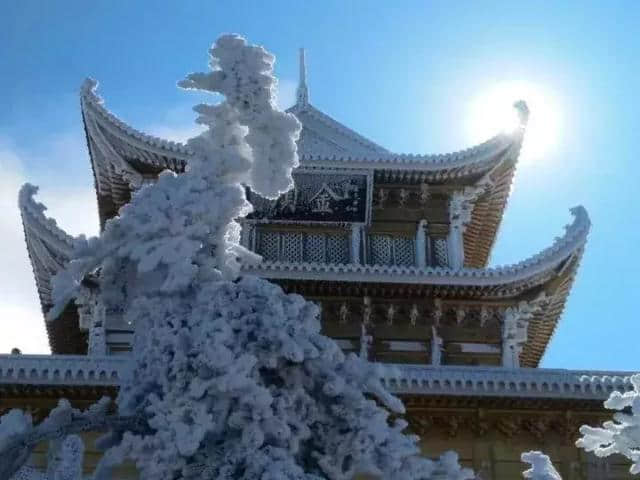 下月起峨眉山执行淡季票价！看雪、玩雪、正当时，错过又要等一年