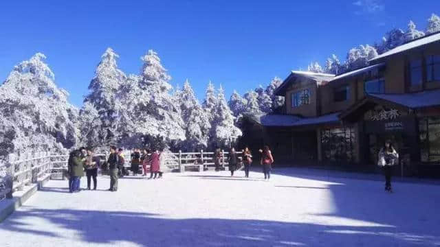 下月起峨眉山执行淡季票价！看雪、玩雪、正当时，错过又要等一年