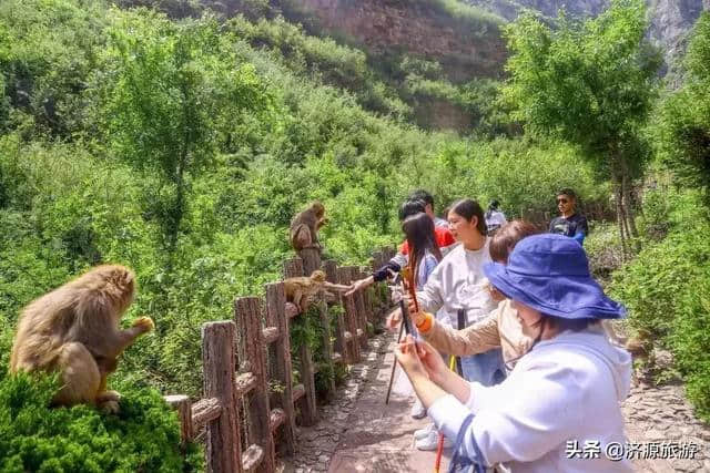 免费欢迎郑州朋友！济源全域旅游惠民！