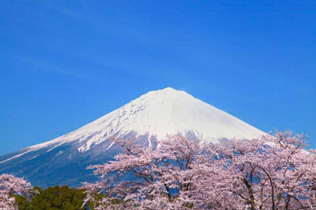 日本本州四季皆可赏，夏天这样玩才能玩得更开心，才会不虚此行