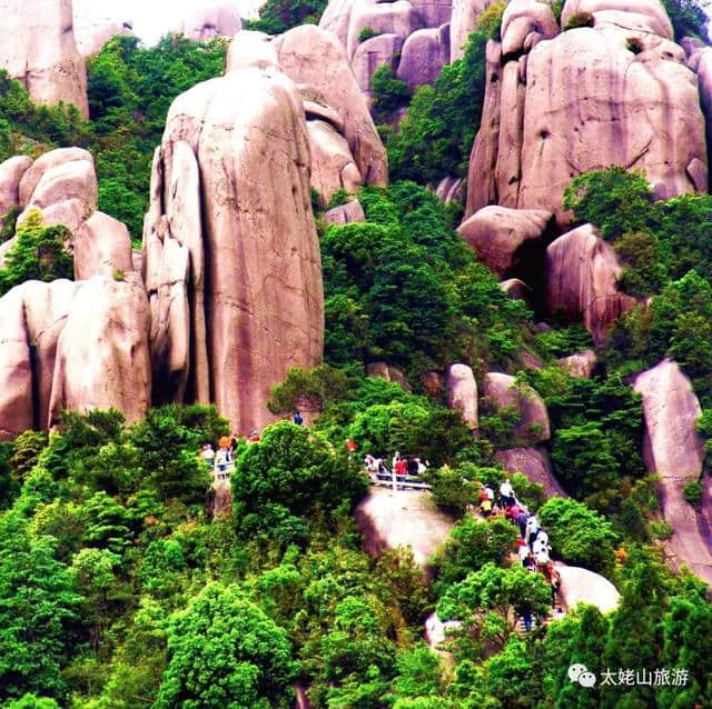 诗绘太姥·歌曰仙山｜他们笔下的醉美风景！