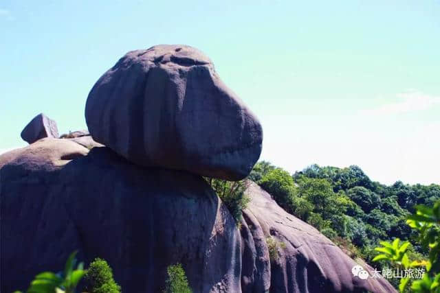 诗绘太姥·歌曰仙山｜他们笔下的醉美风景！