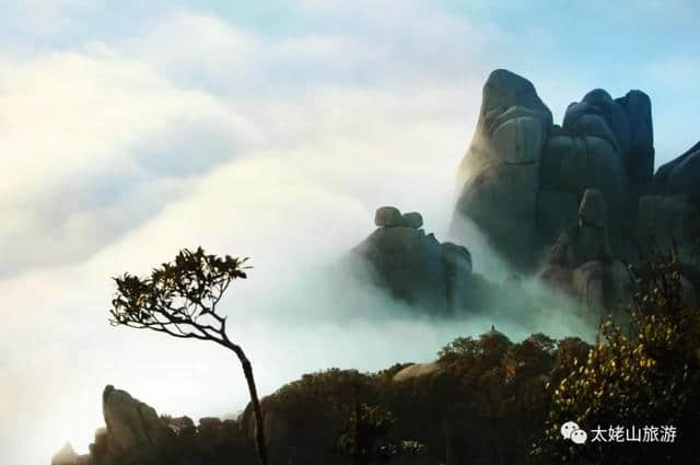 诗绘太姥·歌曰仙山｜他们笔下的醉美风景！