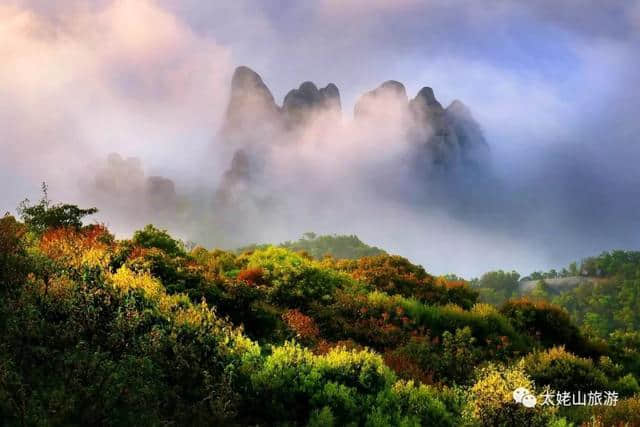 诗绘太姥·歌曰仙山｜他们笔下的醉美风景！