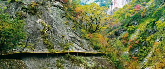 看日出、观云海、避酷暑、泡温泉，全景太白山style